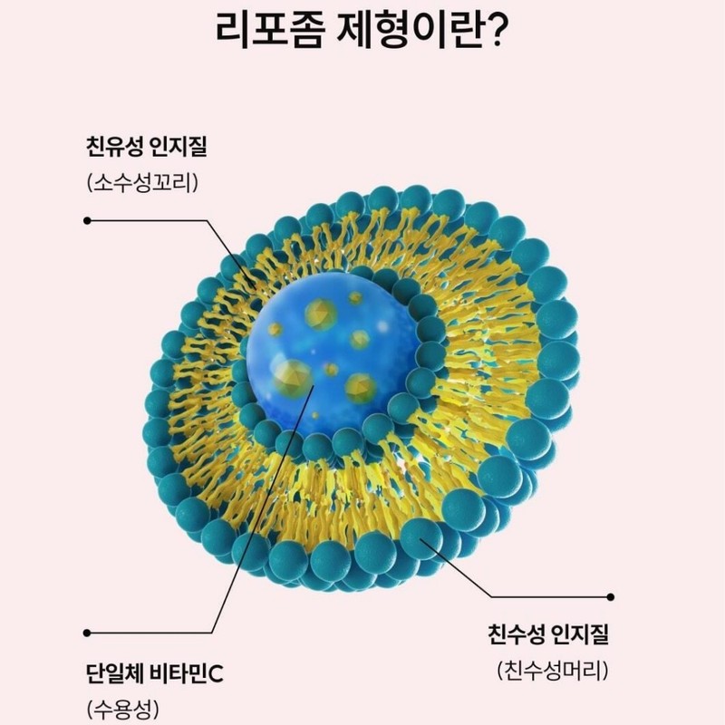 Liposomal Vitamin C Liposomal High-Content Fasting Liposm High Absorption Liposomal