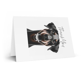 DistinctInk Greeting Card/Note Card -Doberman Pinscher Photograph Birthday - PACK of 5