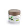 Cleansing Hair Mask Organic Mint & Aloe Vera 250 ml