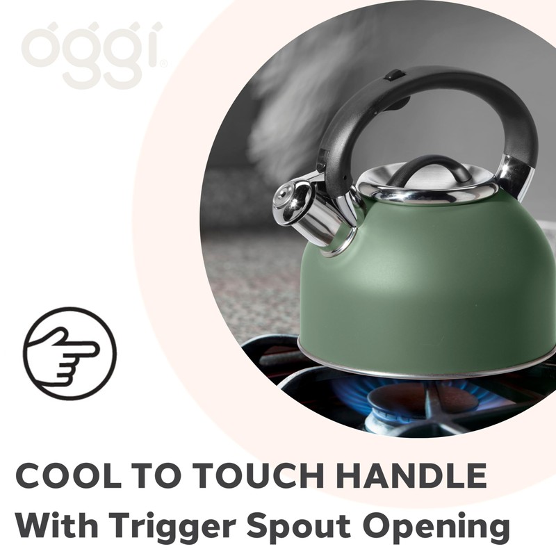 OGGI Tea Kettle for Stove Top - 64oz / 1.9lt,