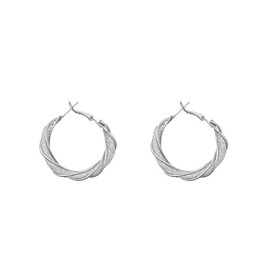 Paire Hollowed out Earrings for Women Twisted Earrings Golden Sparkling Earrings Delicate Jewelry The best Gift for Girls ﻿, Stainless Steel, crystals