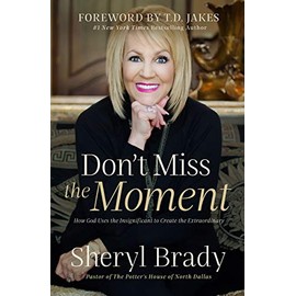 Don't Miss the Moment: How God Uses the Insignificant to Create the Extraordinary