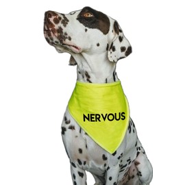 Spoilt Rotten Pets S3 Hi Viz Nervous Dog Bandana For Dogs & Cats (S3 Medium Dogs, Labs, Staffies & Springers)