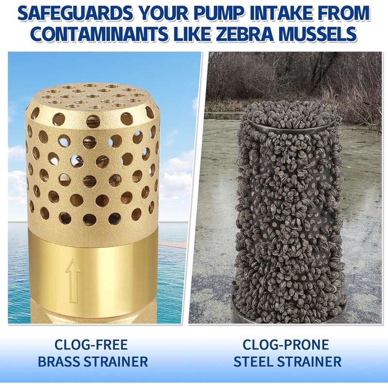 Brass Foot Valve 3/4 inch NPT Heavy Duty Spring Mesh