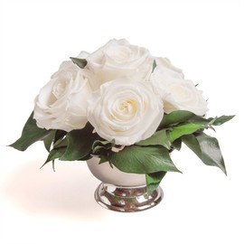 ROSEMARIE SCHULZ Heidelberg Rose Box Flower Box Infinity Roses in Silver-Coloured Bowl 6 Eternal Roses Preserved Flower Arrangement Long Lasting (White, 6 Roses)