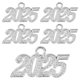 5pcs 2025 Graduation Tassel, Silver Tassels for Adult Graduation Cap Signet Year Senior Sash 2025 Tassel Charm for Graduation Cap Tassel