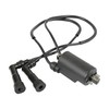 TJHSM 30500-422-003 30500-422-013 30510-MA6-013 Ignition Coil Spark Plug with Cap