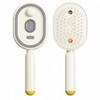 Rechargeable Water Spray Hair Brush for Women – USB-C Detangling