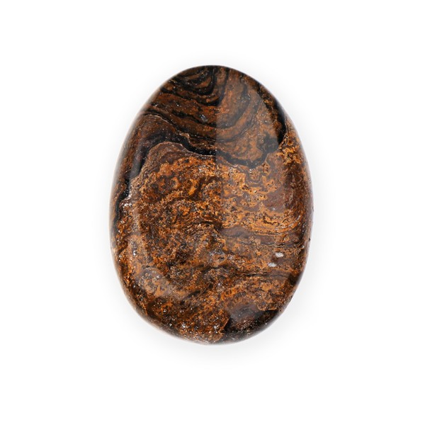 NKlaus Stromatolite Thumb Stone Natural 5 x 3.5 cm Meditation