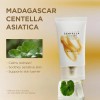 SKIN1004 Centella Soothing Cream, Face Moisturizer with Centella Asiatica, Korean