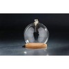 CC Home Furnishings 8.5" Cloche Terrarium Glass Vase