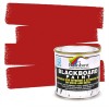 Rainbow Chalk Markers Limited Chalkboard Blackboard Paint - Red 8.5oz