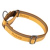 Hyhug Pets Reflective Dog Martingale Collar with Nice Jacquard Weave