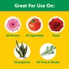 Miracle-Gro Water Soluble All Purpose Plant Food, Plant Fertilizer for