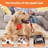 WNXBFO 3Pcs Rope Dog Toy, Ball On Rope For Dogs,