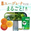 Whole Eugrena, Pure Ishigaki Shima 100% Supplement, 30 Capsules, Eugrena,