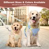 No Pull Dog Harness and Leash Set for Small Puppy