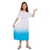 HENBRANDT Fancy Dress Girl Childrens Roman or Greek Goddess Costume