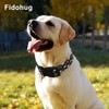 Fidohug Martingale Collar for Dogs Anti Pull Nylon Slip Hawaiian