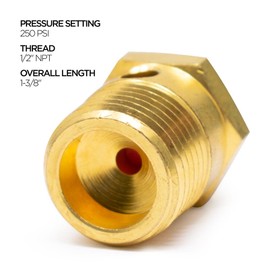 Pro Trucking Products 131081 ST-4 Safety Valve, 250 PSI, 1/2" NPT, For Use on Bendix Tu-Flo 550 & 750 Compressors