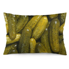 Aswuihz Pickle Cucumbers Funny Food Throw Pillow Covers Decorative Pillow Case Fun Decor Square Couch Cushion Cover for Home Decor Sofa Living Room Bed Car Sofa 20x30 Inch