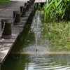 Solar Fountain DC Brushless Mini Water Pump for Landscape Pool