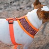 Parisian Pet Dog Harness - Adjustable Orange/Blue Puppy Harness -