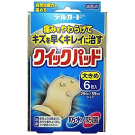 阿蘇製薬 デルガード クイックパッド 大きめサイズ 6枚