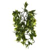 Exo Terra Plastic Terrarium Plant, Medium, Mandarin