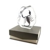 REAL BUG Tarantula Desk Decoration Free Style, DS1101
