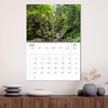 Wonderful World - Forests (Monthly Wall Calendar 2026 16.5" x