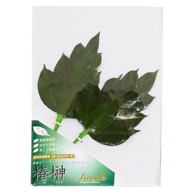 A&K Sakaki Preserved (S Size / Pair / Approx. Height 11.0 x Width 5.5 inches (28 cm) x Width 5.5 inches (14 cm) No Water Change Required, Keep Beautiful, Made with Premium Camellia Leaves (Tanba),