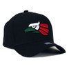 Mexican Mexico Hat Hecho En Mexico Eagle Aguila Snapback Flat