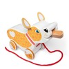 Melissa & Doug Feed, Walk & Poo Pup Wooden Preschool