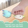 Zonoori Set of 4 Axolotl Stress Ball Pressure Toy, Anti-Stress