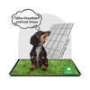 ATBOMA Dog Grass Pad with Tray, 31×21in Medium Litter Box,