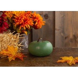 Elanze Designs Sage Green 6 inch Resin Harvest Decorative Pumpkin