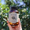 Ritua Focus Capsules, 60 Hard Capsules