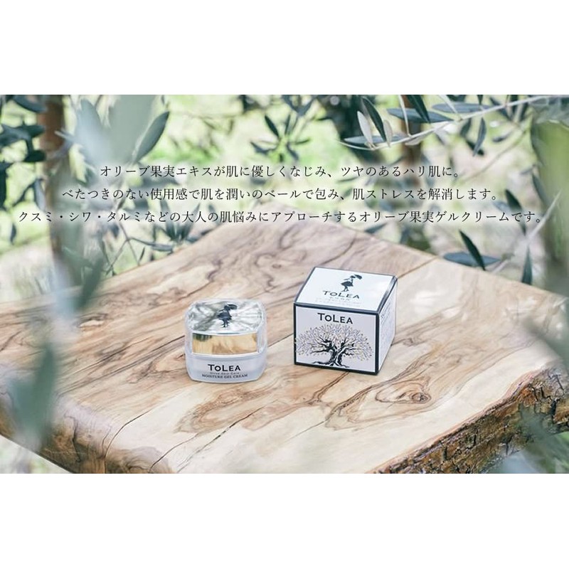 東洋ori-bu toreamoisutya-gerukuri-mu G