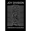 Poster Joy Division - Unknown Pleasures, 24in x 36in, Office