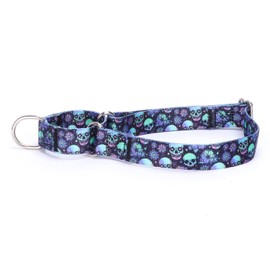 Pimaodog Heavy Duty Nylon Dog Collar, Adjustable Martingale Dog Collar for Walking Training Boy and Girl Dogs Medium Large Dogs (M:36-45CM, Skulls)