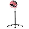 Hooded Hair Dryer, Professional Standing Hair Dryer with Time Setting,