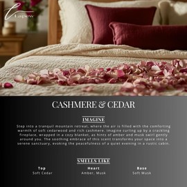 Lapew Cashmere Cedar Scented Mop Soap Concentrate 36 oz | Premium Fragranced Floor Cleaner | Streak-Free | Hard Floor Cleaning Solution | Eco Friendly | Made in USA