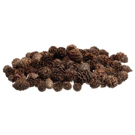 Pine Cones | 150 Small Pine Cones 3/4"-1 1/4" | 10 oz Mini Black Spruce Pine Cones | Pine Cone Filler