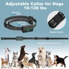 Dog Shock Collar with Remote Control - 3300Ft Dog Training