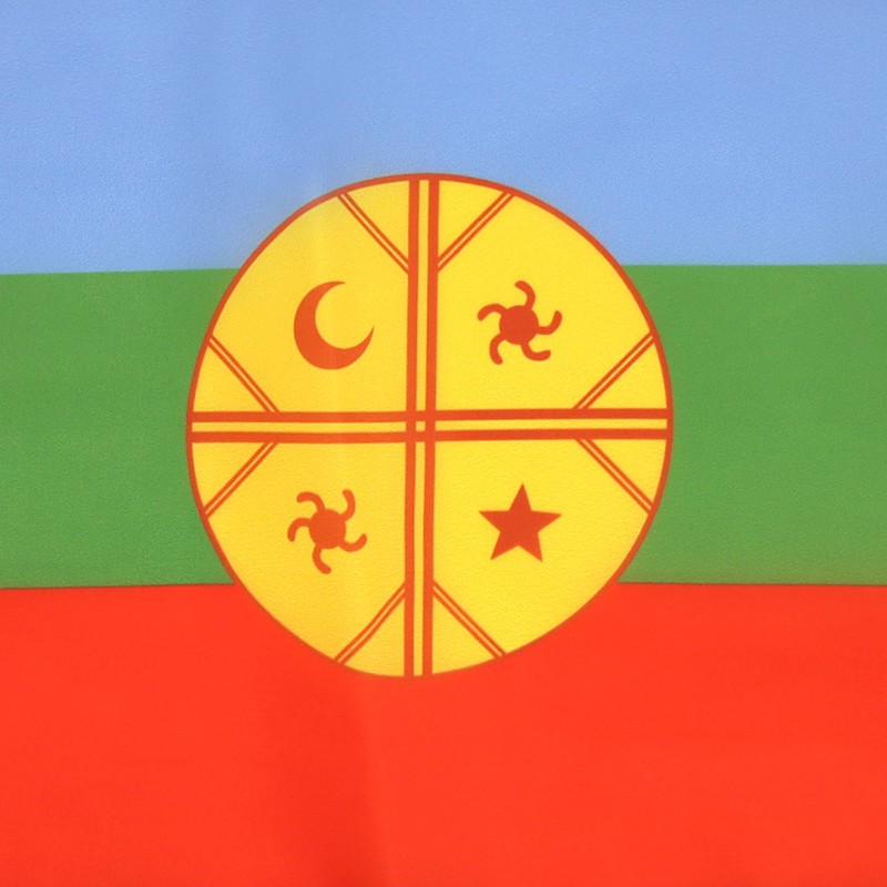 AZ FLAG Mapuche People of Chile Flag 18'' x 12''