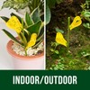 Garsum 21 Traps Sticky Houseplant Traps Gnat Yellow Insect Trap