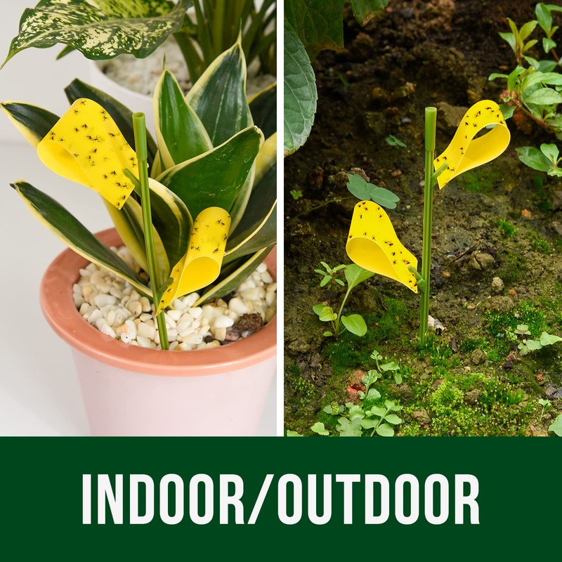 Garsum 21 Traps Sticky Houseplant Traps Gnat Yellow Insect Trap