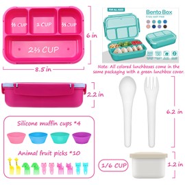 QQKO Bento Box for Kids Adults, School Toddler Lunch Box for Boys Girls, Lunch Box Containers with 4 Compartments, Sauce Container, Utensils, Food Picks and Muffin Cups for School, Pink Blue
