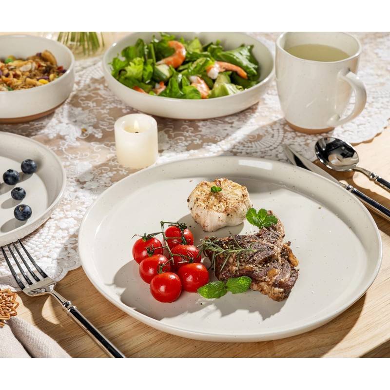 AmorArc Ceramic Dinner Plates Set of 2, 10.5 Inch Large